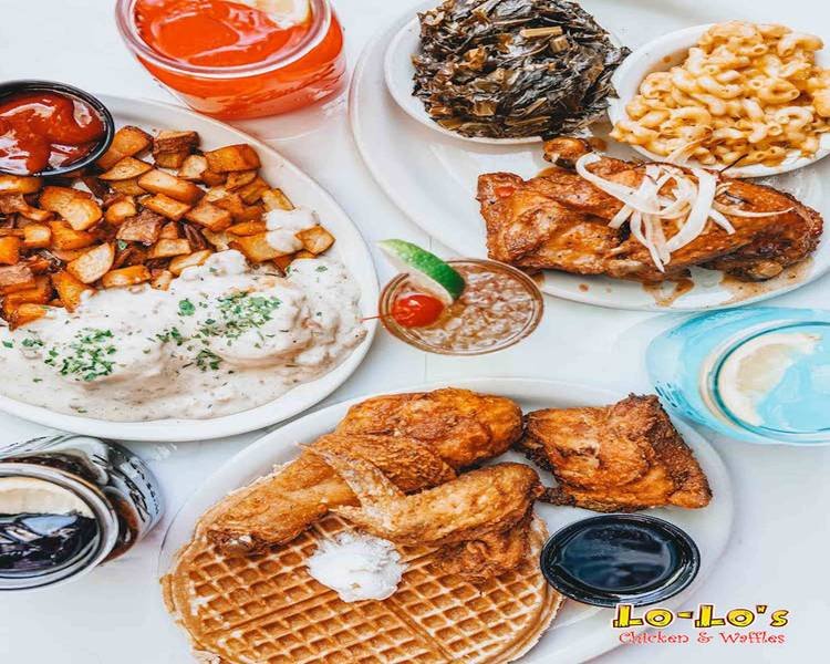 đá gà tre thomo ngày hôm nay,Giới thiệu đá gà tre thomo ngày hôm nay,Giới thiệu
