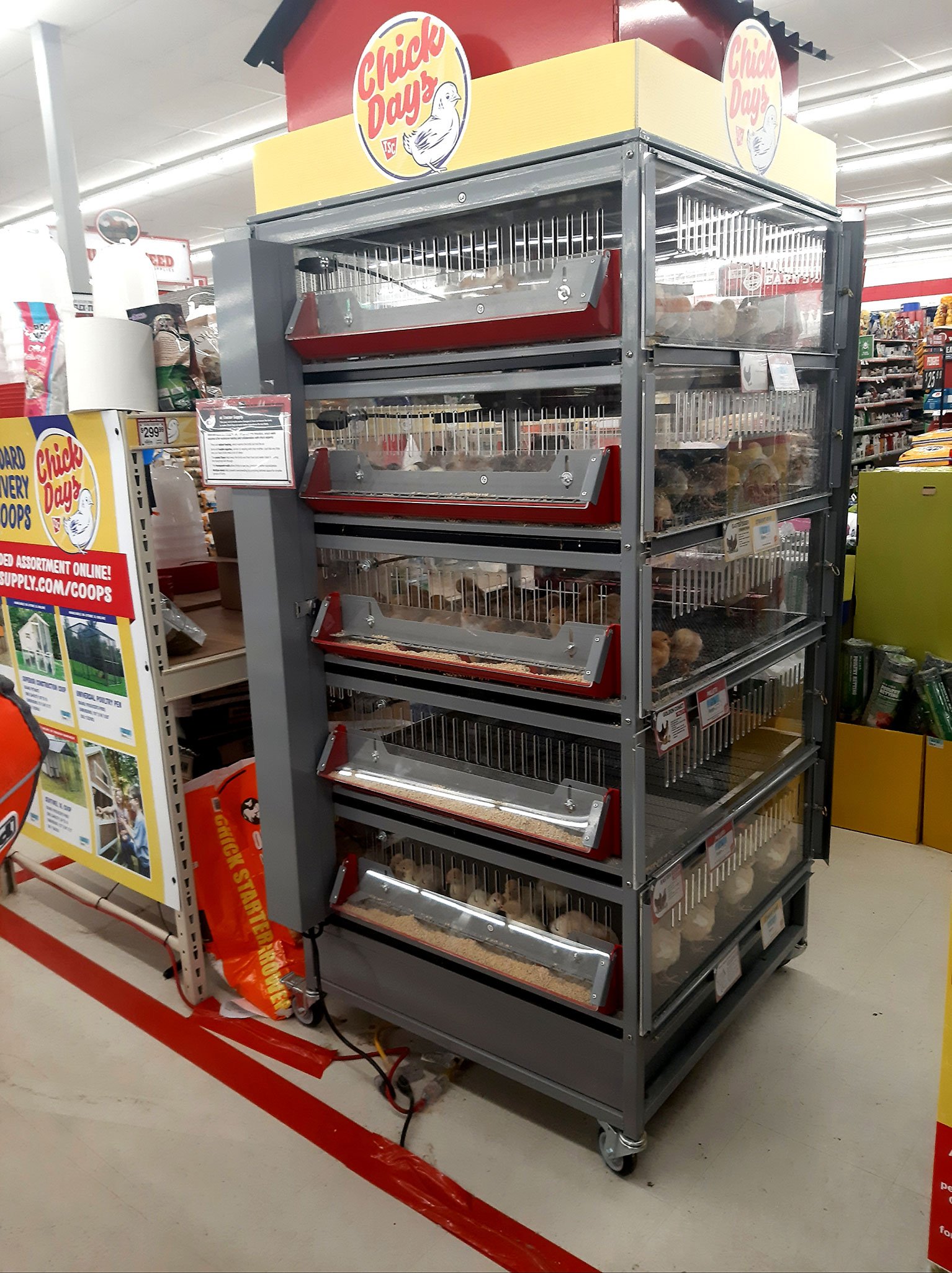 đá gà trực tiếp có bình luận,Đá gà trực tiếp có bình luận: Thứ hai, Một Cuộc Đấu Tranh Đen Tối đá gà trực tiếp có bình luận,Đá gà trực tiếp có bình luận: Thứ hai, Một Cuộc Đấu Tranh Đen Tối