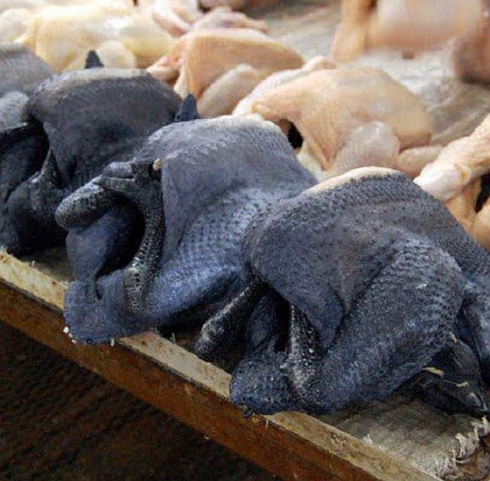 chuồng đỗ gà đá,Chuồng Đỗ Gà Đá: Khám Phá Cách Trồng Trọt Thân Thiện Với Môi Trường chuồng đỗ gà đá,Chuồng Đỗ Gà Đá: Khám Phá Cách Trồng Trọt Thân Thiện Với Môi Trường