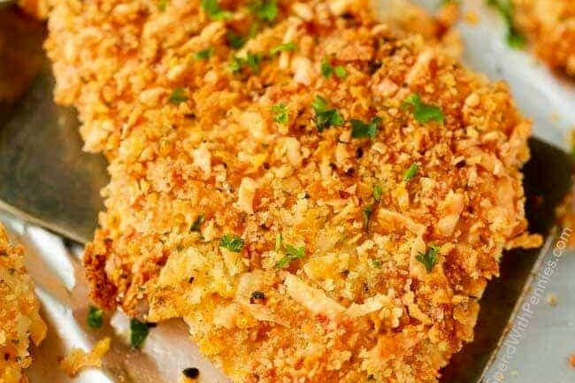 trực tiếp đá gà c3,Giới thiệu về đá gà trực tiếp C3 trực tiếp đá gà c3,Giới thiệu về đá gà trực tiếp C3