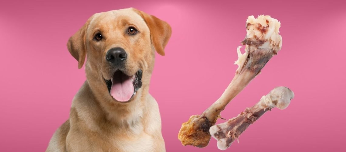 đá gà 1 con chap 2 con,Đá gà: 1 con chiến binh, 2 con đối thủ – Bài viết đặc biệt đá gà 1 con chap 2 con,Đá gà: 1 con chiến binh, 2 con đối thủ – Bài viết đặc biệt