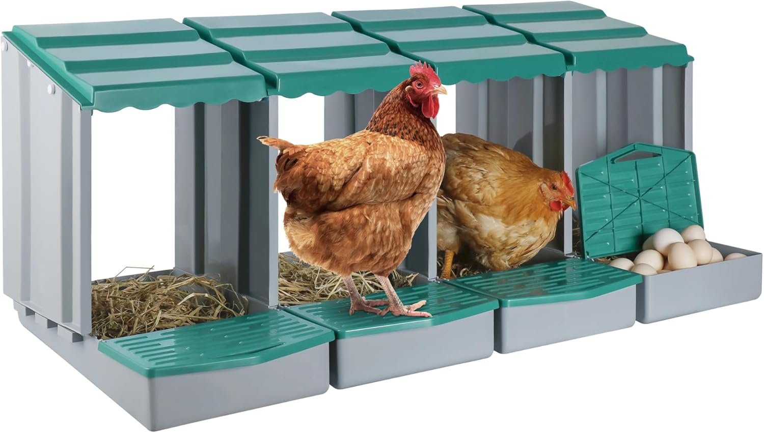 đá gà trực tiếp hôm nay trận cuối,Đá gà trực tiếp hôm nay: Trận cuối Thứ hai – Chi tiết độ c giới thiệu đá gà trực tiếp hôm nay trận cuối,Đá gà trực tiếp hôm nay: Trận cuối Thứ hai – Chi tiết độ c giới thiệu