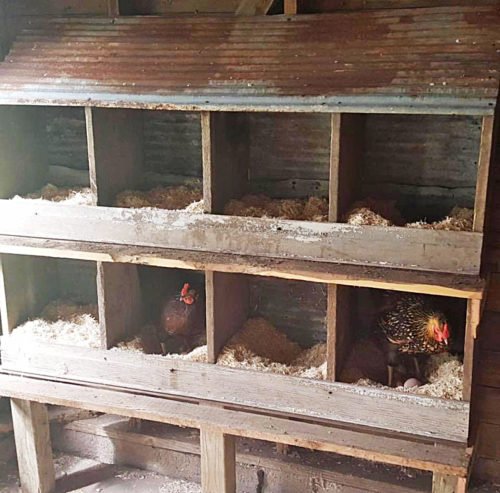 xem đá gà trực tiếp thomo 999 hôm nay,Giới Thiệu Độ C Xem Đá Gà Trực Tiếp Thomo 999 Hôm Nay xem đá gà trực tiếp thomo 999 hôm nay,Giới Thiệu Độ C Xem Đá Gà Trực Tiếp Thomo 999 Hôm Nay