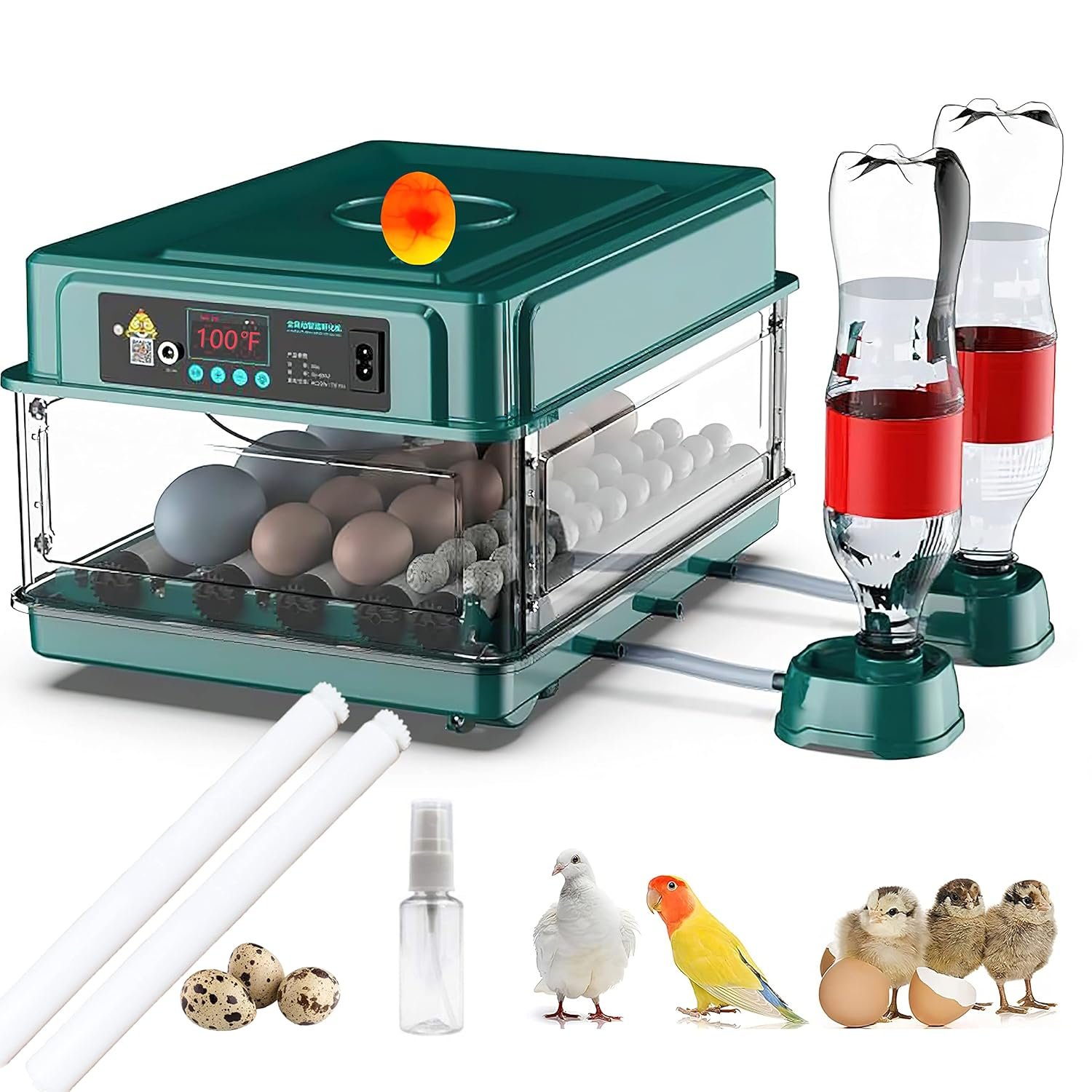 Xem hôm nay: Lịch đá gà trực tiếp ngày 26 siêu hấp dẫn!