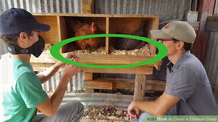 Trải nghiệm đá gà trực tiếp từ Campuchia với bình luận sắc bén hôm nay