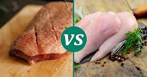 Khám phá thị trường gà đá cựa sắt hấp dẫn và tiện lợi